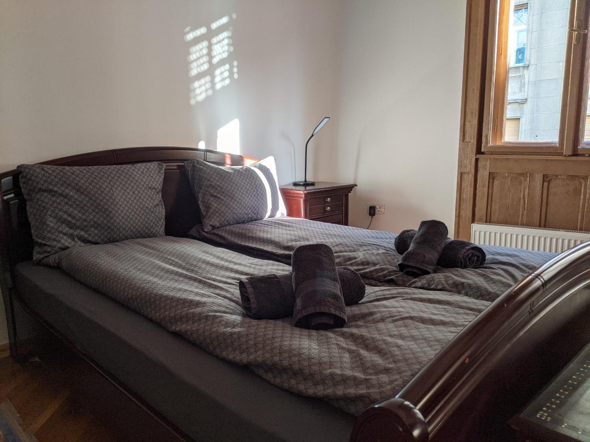 Ultra-Central Apartment In The Loffler Palace Timisoara Exterior photo